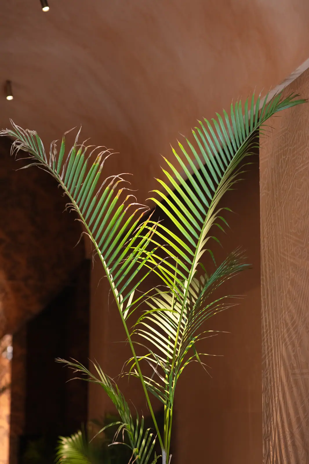 An Earthly Welcome at Sana Restaurant, Dubai — welcome dinner by Zahra Studio